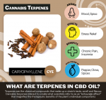 Glori Blends CBD Oil - Caryophyllene