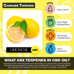 Glori Blends CBD Oil - Limone