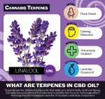Glori Blends CBD Oil - Linalool