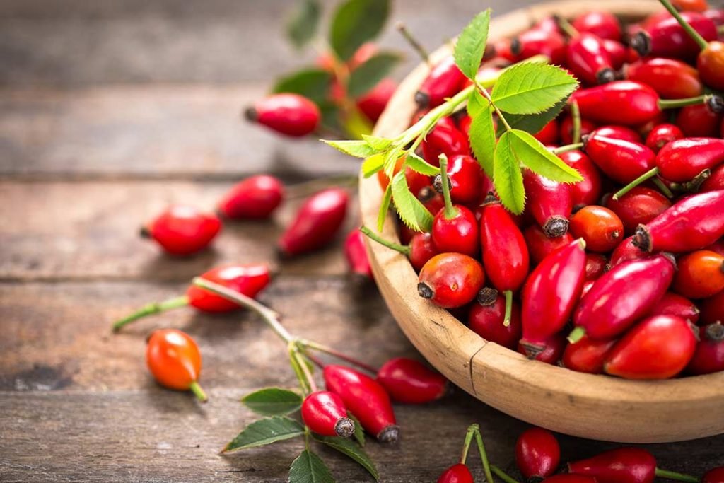 Rosehips in a bow for a CBD facial cream